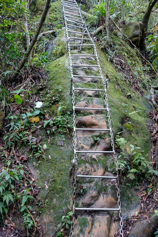 Taiwan-Shiding-Hiking-Huangdidian - Then the ladders started. Taiwan has an abundance of stainless steel. The USA has banned the import of Taiwanese steel this week due to trade dumping 