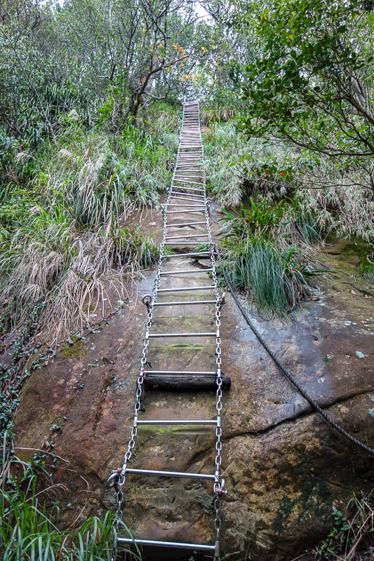 A full lap of Taiwan in March 2017 - I was super impressed by the long ladders. The longest was over 100 steps. I could have taken a lot more ladder photos but I had to put my camera away