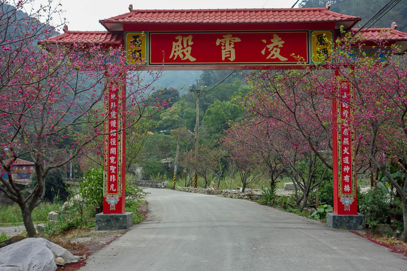 Taiwan-Puli-Hiking-Temple - I am finally back to civilization! Enjoy these pink blossoms and a gate.