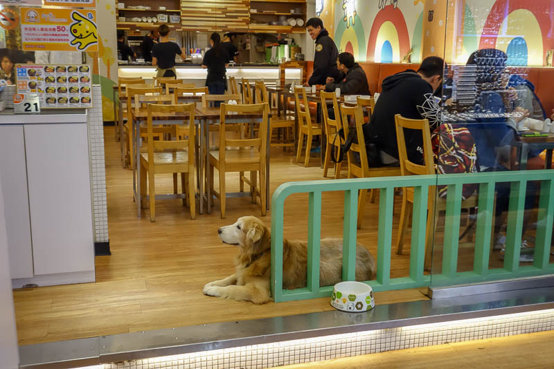 A full lap of Taiwan in March 2017 - I ate here on my first trip to Taiwan, it is called puppy risotto, now they have the actual puppy from their logo! I think the logo came first and the
