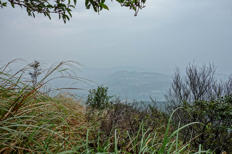 Taiwan-Taipei-Hiking-Yangmingshan - Such a great view of cloud, I was starting to get damp at this point.