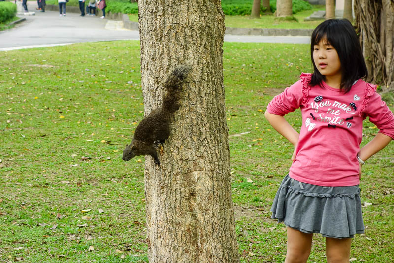 Taiwan-Taipei-Taoyuan-Airport-Lounge-Beef - A girl and her pet squirrel. These things are all over the park, they do not appear to be afraid of humans, however this human (me) is afraid of squir