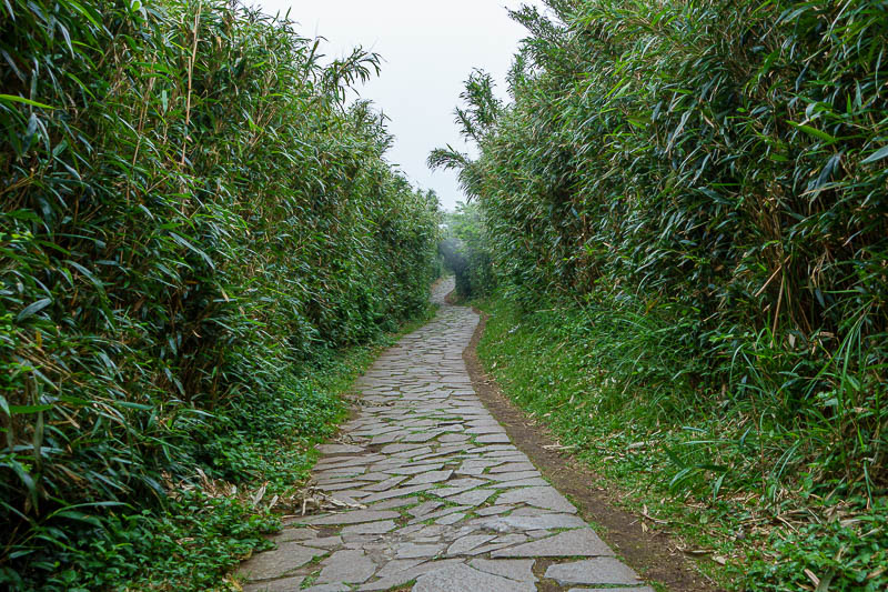 Taiwan-Taipei-Hiking-Datun-Yangmingshan - It became clear I was getting to my destination when the path became wheelchair friendly instead of a moss covered death trap. I think it actually joi