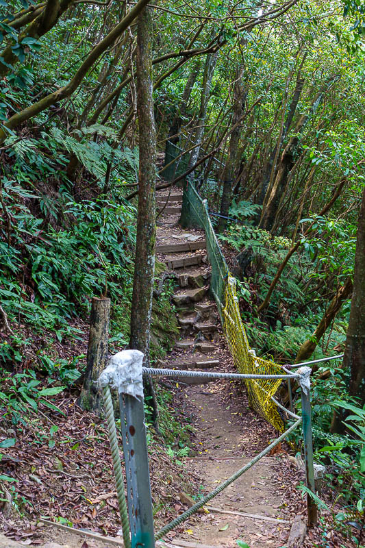Taiwan-Taipei-Hiking-Jinmianshan - Much of the path today was landscaped like this, but then occasionally there were dangerous bits with no ropes or markings of any kind, plenty of smal