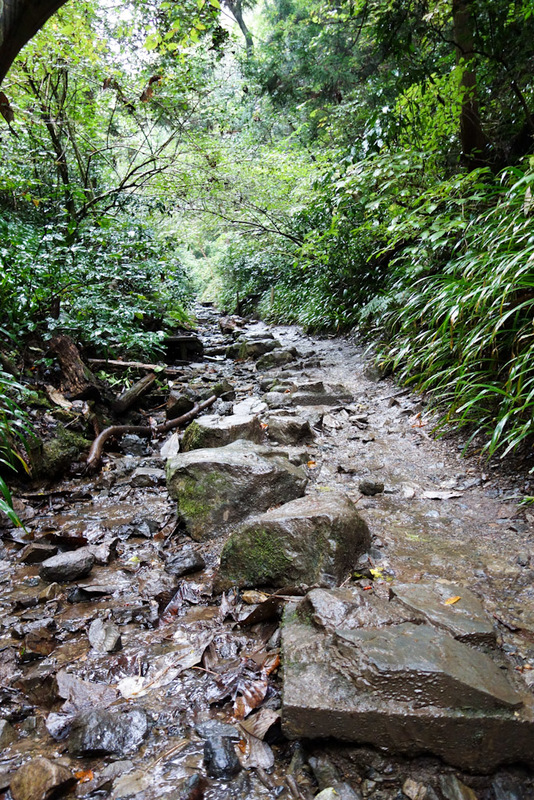 Japan-Tokyo-Hiking-Mount Takao - About half way up the path became a waterfall. Amazingly I managed to keep my feet dry. I started to consider if finally my lack of preperation for hi