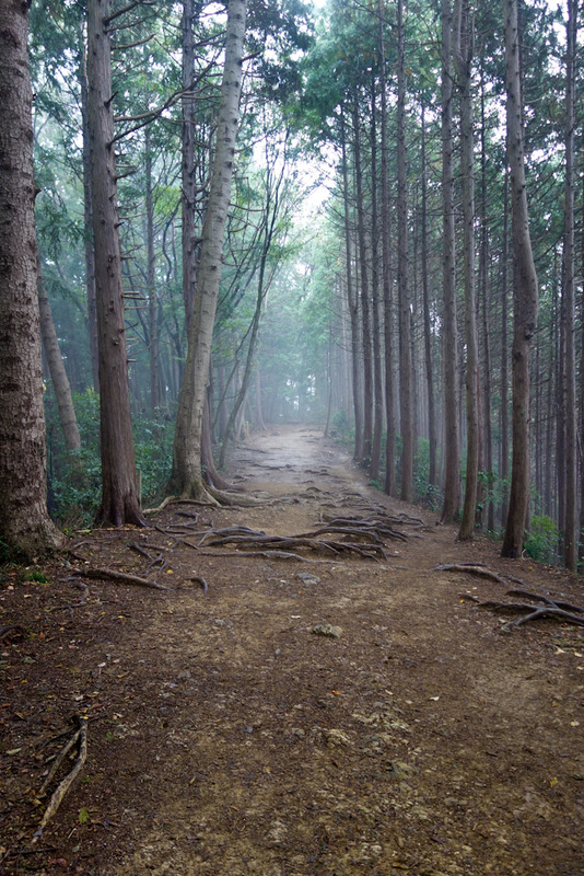 Japan-Tokyo-Hiking-Mount Takao - I went back down on a different trail, and the fog set in to make it all the more exciting. I saw pokemons darting about in the woods but they left me