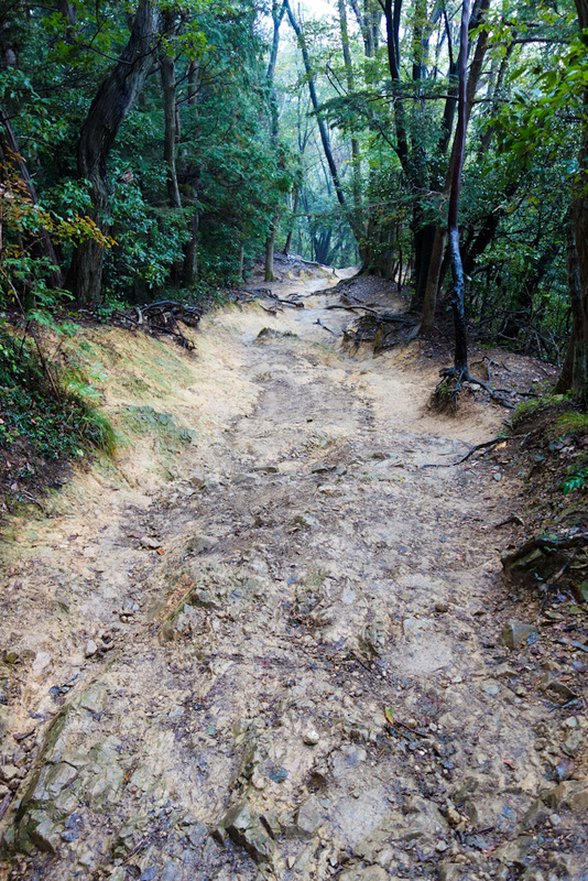 Japan-Tokyo-Hiking-Mount Takao - A particularly tricky bit on the way down, with a sort of orange slippery clay.