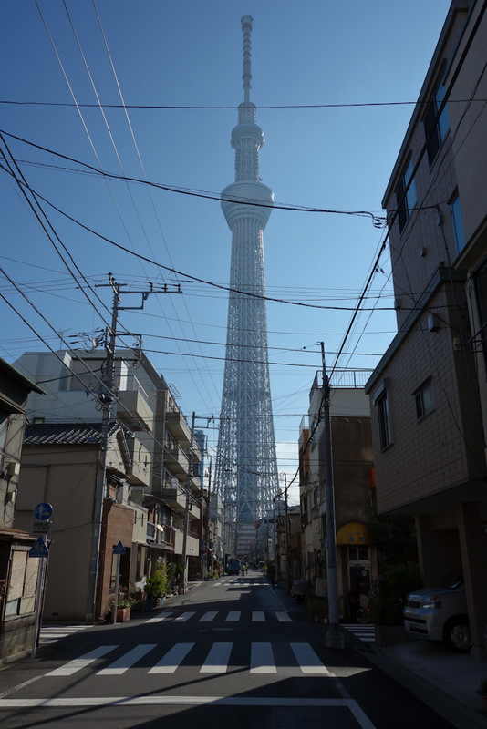Japan-Tokyo-Walk-Ueno-Shrine - The skytree, worlds second tallest structure. I couldnt go up today, didnt want to waste 3 hours in line. It doesnt actually look that tall to me?